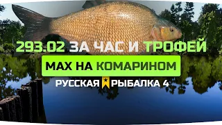 ЛОВЛЯ ЛЕЩА на Комарином на МАХИ ● Фарм серебра ● Русская Рыбалка 4