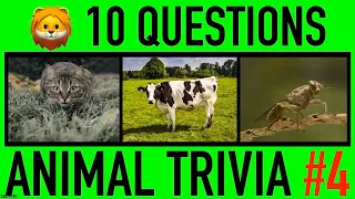 ANIMAL TRIVIA QUIZ #4 - 10 Challenging Animals General Knowledge Trivia Questions and Answers