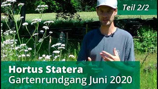 Hortus Statera im Juni 2020 - Teil 2/2