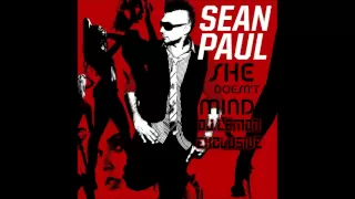 She Doesn't Mind (Sean Paul) - DJ Lemon Exclusive