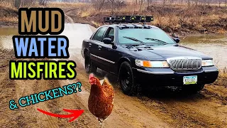 The LIFTED Grand Marquis Goes OFF ROAD!  Deep Water, Sloppy Mud, and Ditch Flexing!