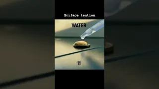 surface tension experiment