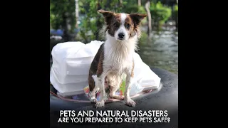 Animals in Disasters | Disaster Preparedness Checklist for Pets