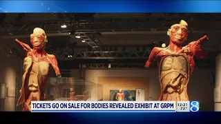 'Bodies Revealed' returns to Grand Rapids Public Museum