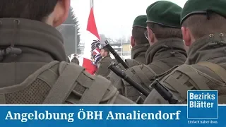 Angelobung des österreichischen Bundesheeres in Amliendorf