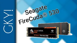 Seagate FireCuda® 530