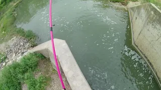 Nice striper at Moss Lake spillway