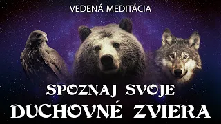 Spoznaj Svoje Duchovné Zviera - Vedená Meditácia s Binaurálnymi Rytmami