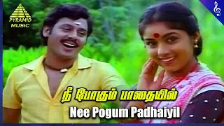 Nee Pogum Padhaiyil Video Song | Gramatthu Minnal Movie Songs | Ramarajan | Revathi | Ilaiyaraaja