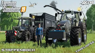 New vehicles & grass silage harvest | Animals on Stappenbach | Farming Simulator 19 | Episode 14