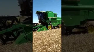 SLC 7500 colheita de trigo