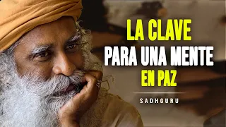 ¿Alguna vez te has preguntado cómo la meditación puede cambiar tu vida? - Sadhguru