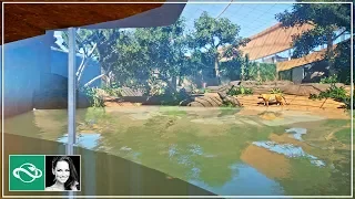 🐯 Tiger indoor habitat & underwater viewing | Speed Build | Planet Zoo | BETA |