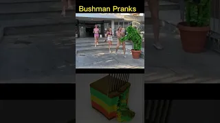 🌴 Bushman Pranks: Pretty girls can't resist! #prank #bushman #funnyprank #funny #fun