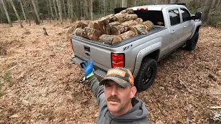 2nd roadside logging of 2023 some really nice red oak.