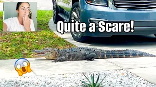 AN ALLIGATOR AT OUR HOUSE 🐊 😱 | Days in Our Life in Florida | Spring Cleaning