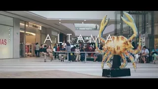 Flashmob de Queen en Centro comercial Altama