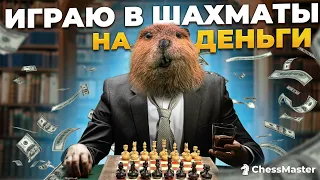 Пробую играть в шахматы на деньги. Стрим 1