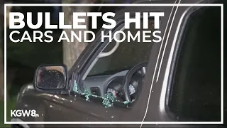 Bullets hit a home in Northeast Portland shooting