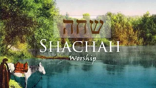 The Mystery Hidden in Shachah: The Hebrew Word for Worship
