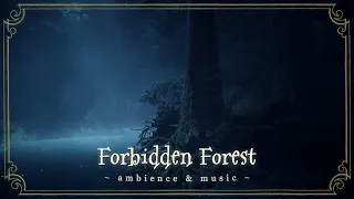 Hogwarts Legacy [ASMR] - Forbidden Forest 🌳