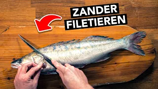 ZANDER FILETIEREN für Anfänger 🔪 (super einfach & ohne Gräten)