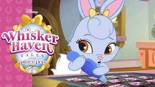 The Cookie Boogie | Whisker Haven Tales with the Palace Pets | Disney Junior