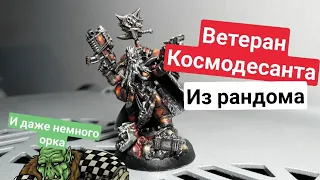 Китбашим Space Wolves Captain  | С покрасом