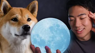 How To Find The NEXT Shiba Inu