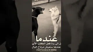 عندما يبرد القلب 💔