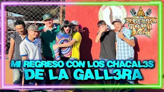 Mi Regreso Con Los Chacales De La Gallera | Pamela Chup 💅💄