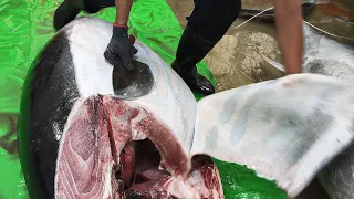 Amazing Skills!The Satisfying Bluefin Tuna Cutting Master