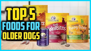 ✅Top 5 Best Foods for Older Dogs of 2023