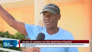 ROUBO DE ANIMAIS EM SÃO MARTINHO PEQUENO | FALA CABO VERDE