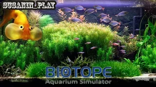 BIOTOPE ✪ СИМУЛЯТОР АКВАРИУМА ✪ МОЖНО ПОИГРАТЬ