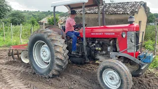 pela primeira vez aqui no canal o trator Massey Ferguson 50x cortando terra