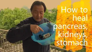 A simple qigong movement to heal kidneys, liver, stomach, pancrea, sexual