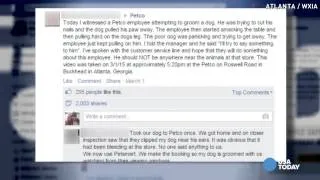 Petco groomer caught on camera being too rough with dog