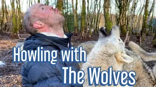 Howling with the Wolves