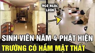 Học đại học 4 năm, nữ sinh viên mới bất ngờ phát hiện trường mình có HẦM MẬT THẤT xịn sò | TÁM TV