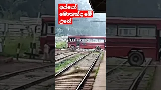 2.18 million views /bus stoped 😭😭😭on railway crossing  unexpectedly  Heeloya Srilanka🚒🙏