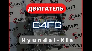 G4FG! НОВЫЙ! Обзор. CARVET.