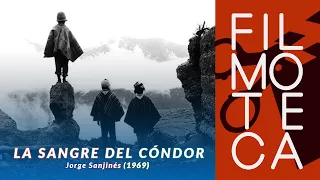 Introducción a LA SANGRE DEL CÓNDOR (YAWAR MALLKU)