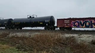 BNSF and CP mixed freight February 27, 2019