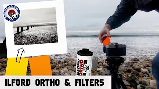 35mm Film Photography. Ilford Ortho 80 and Filters. Orange Filter?