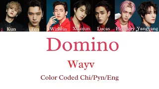 Domino - Wayv Color Coded [Chi/Pyn/Eng]