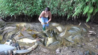 Survival Fishing, Catching Fish With Pump, Harvesting A Lot Of Fish In The Lake - Survival Skills