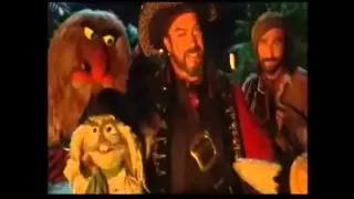 Muppet Treasure Island - Professional Pirate