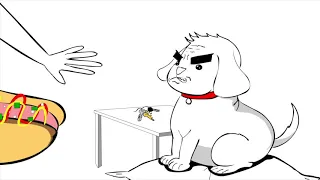 Quincy The Dog Animated #PatrickBarnes