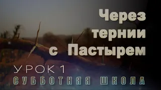 Субботняя школа | В горниле испытаний - со Христом | 1 урок: Через тернии с Пастырем.